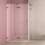 Red Mirror Specular Stainless Steal Hinge Pivot Shower Door Enclosure