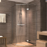 Classic Hinge Pivot Design Bathroom Diamond Shower Door Enclosure